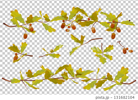 橡實枝和葉子邊框插圖 橡實枝和葉子邊框插圖 131682104