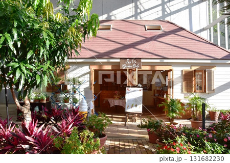 山中湖花の都公園　フローラルドームふららのイングリッシュハウス 131682230