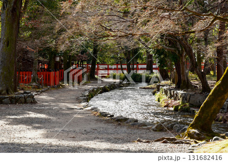 上賀茂神社のならの小川 上賀茂神社のならの小川 131682416