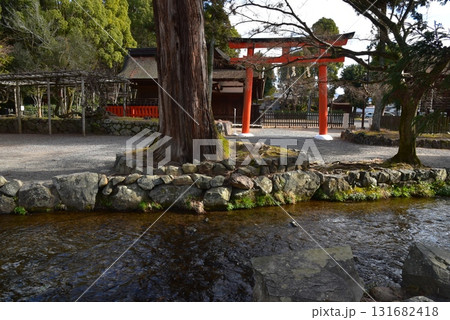 上賀茂神社のなら鳥居 上賀茂神社のなら鳥居 131682418