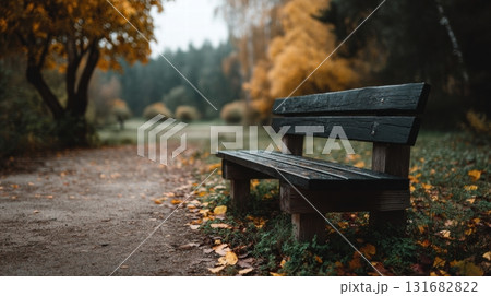 autumn park scene with a wooden bench 131682822