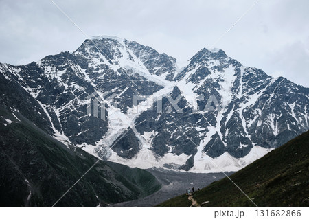 Snowy Mountain Peaks Above Lush Alpine Meadow 131682866