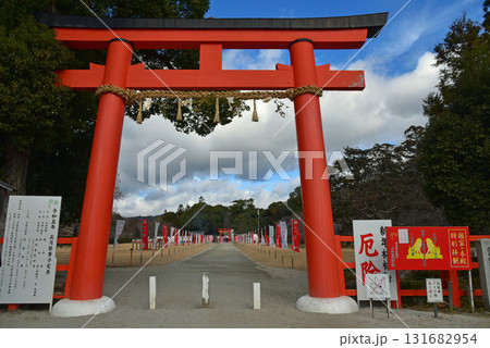 京都　お正月の上賀茂神社の一の鳥居 131682954
