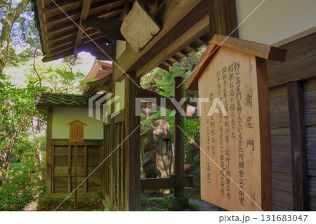 瑞鳳寺 高尾門と瑞鳳殿の歴史ある佇まい 瑞鳳寺 高尾門と瑞鳳殿の歴史ある佇まい 131683047