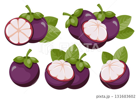Fresh mangosteen fruit set, cut and whole fruits. Tropical fruit background. Illustration. Fresh mangosteen fruit set, cut and whole fruits. Tropical fruit background. Illustration. 131683602