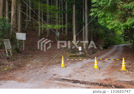 犬ヶ岳登山「登山口（豊前市）」 131683747