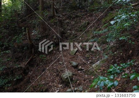 犬ヶ岳登山「うぐいす谷付近の登山道」 131683750