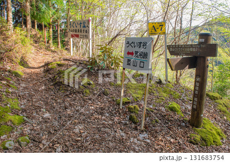 犬ヶ岳登山「経読林道付近の登山道」 131683754