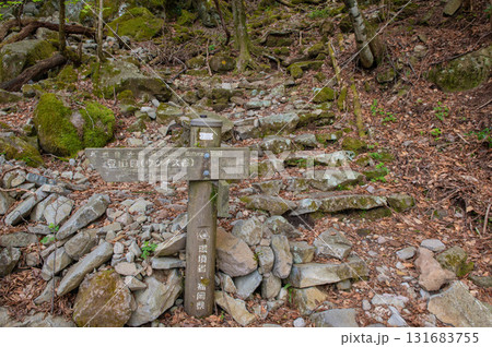 犬ヶ岳登山「経読林道付近の登山道」 131683755