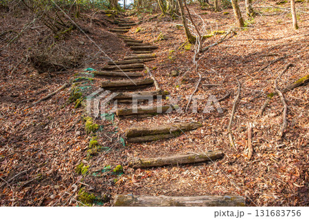 犬ヶ岳登山「笈吊峠付近の登山道」 131683756