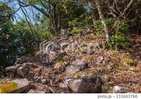 犬ヶ岳登山「山頂付近の登山道」 犬ヶ岳登山「山頂付近の登山道」 131683760