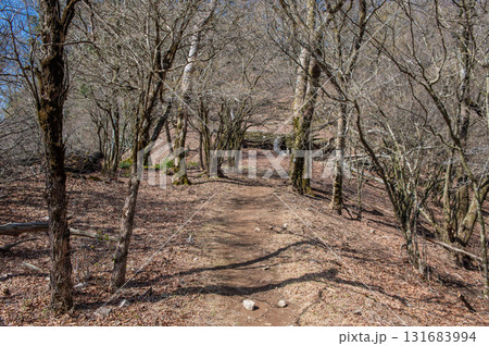 犬ヶ岳登山「山頂付近の登山道」 犬ヶ岳登山「山頂付近の登山道」 131683994