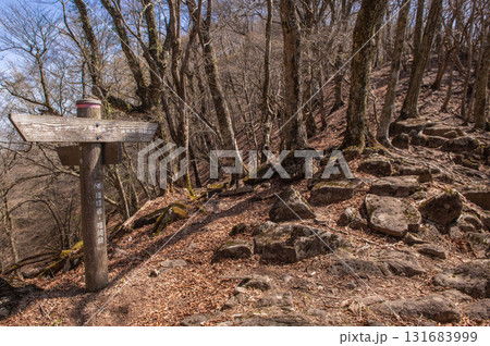犬ヶ岳登山「大竿峠」 犬ヶ岳登山「大竿峠」 131683999