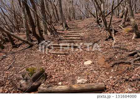犬ヶ岳登山「一ノ岳付近の登山道」 131684000