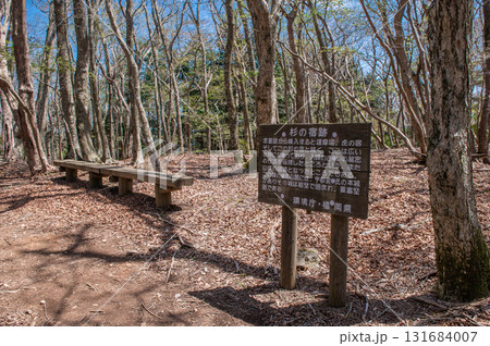 犬ヶ岳登山「杉の宿跡」 犬ヶ岳登山「杉の宿跡」 131684007