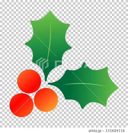可愛的冬青葉和漿果向量插圖_聖誕節和冬季材料 131684116