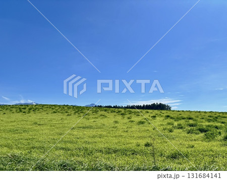 美瑛町 美瑛町 131684141