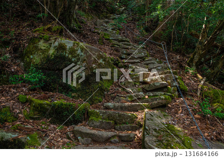 求菩提山登山「鬼の石段」 求菩提山登山「鬼の石段」 131684166