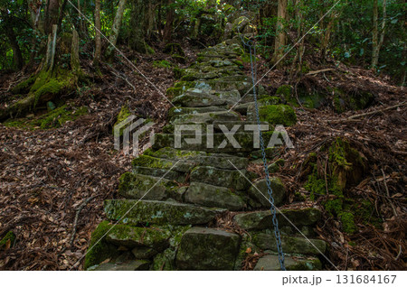 求菩提山登山「鬼の石段」 131684167