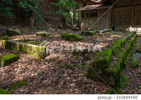 求菩提山登山「多宝塔跡」 131684480