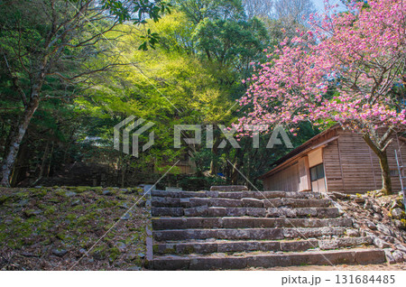 求菩提山登山「参道に咲く桜」 131684485