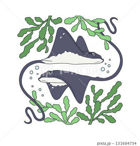 Art nouveau style stingray couple swimming in ocean amongst seaweed hand drawn vector illustration 131684734