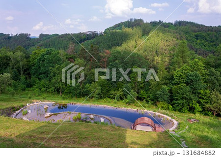 Pretty wooden pier at natural swimming pond or pool - NSP - purifying water without chemicals through biological filters and plants 131684882
