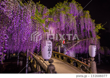 夜の中山の大藤（柳川市） 131686077