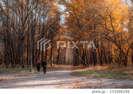 Autumn Forest Walk: Golden Path with Tall Trees and Streetlamp 131686298