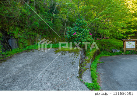 カラ迫岳登山「駐車場と登山口」 131686593