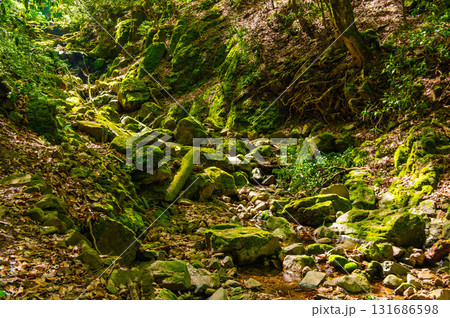 カラ迫岳登山「登山道沿いを流れる沢」 131686598