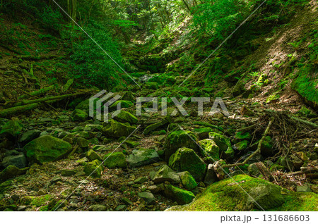 カラ迫岳登山「登山道沿いを流れる沢」 131686603