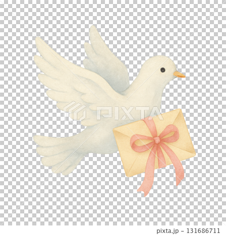 Watercolor illustration of white dove flying with love letter tied with pink ribbon, symbolizing peace and affection in delicate and charming style 131686711