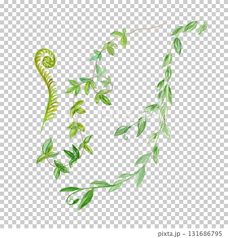 Liana branches leafs watercolor illustration set isolated on white. Hand drawn design elements perfect for cards, posters, botanical patterns, eco decor, tropical rainforest design. Fern 131686795