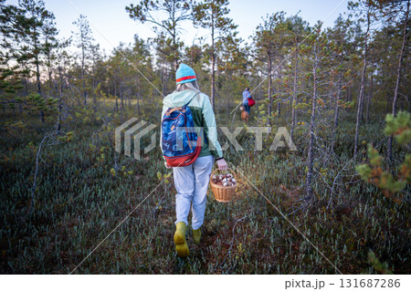 Women travelers hiking in fall forest gather mushrooms with dog on forage rearview, travel in woods Women travelers hiking in fall forest gather mushrooms with dog on forage rearview, travel in woods 131687286