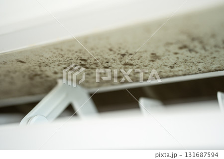 Disgusting mold on dirty surface of conditioner. Dampness in apartment, lack of care for appliances 131687594