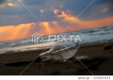 砂浜に流れ着いた集魚灯 131687814