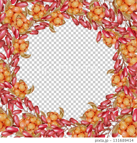 Watercolor illustration frame red barberry and orange cloudberry berries with green leaves in realistic botanical style. for packaging food branding autumn cards and eco friendly product design. Watercolor illustration frame red barberry and orange cloudberry berries with green leaves in realistic botanical style. for packaging food branding autumn cards and eco friendly product design. 131689414