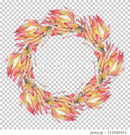 Watercolor wreath with pink and yellow leucadendron protea flowers, painted in a tropical botanical style. Perfect for natural cosmetics, eco packaging, wedding decor, and textile or print design. 131689423