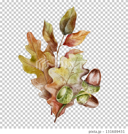 Watercolor illustration autumn oak leaves in brown, yellow, and green tones with acorns, painted in a realistic botanical style. for fall-themed packaging, decor, stationery and seasonal products. 131689431