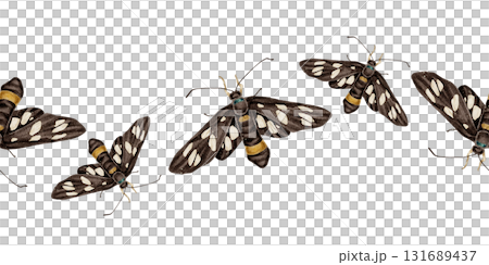 Seamless watercolor border with black moths Amata phegea also known as the nine-spotted moth. insects in black, white, and yellow. Ideal for packaging, textiles, stationery, and nature designs. 131689437