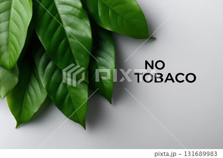 Green leaves with a message against tobacco placed on a light background 131689983