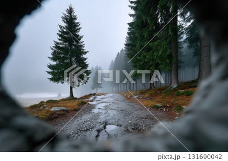 Scenic forest path viewed through rocky opening, showcasing misty surroundings and tall trees 131690042
