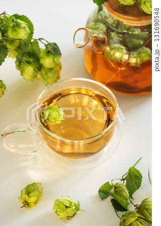 Hop Tea in Glass Teapot and Cups with Fresh Hops on Table Hop Tea in Glass Teapot and Cups with Fresh Hops on Table 131690548