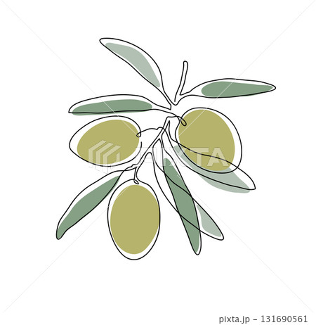 Olive branch. Modern single line art drawing. Continuous line drawing. Outline draw design color vector illustration Olive branch. Modern single line art drawing. Continuous line drawing. Outline draw design color vector illustration 131690561