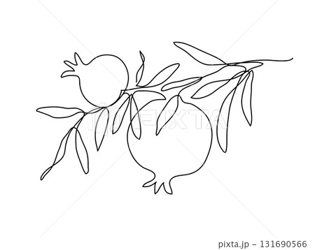 Branch with pomegranates and leaves. Shana Tova. Modern single line art drawing. Continuous line drawing. Vector illustration. Branch with pomegranates and leaves. Shana Tova. Modern single line art drawing. Continuous line drawing. Vector illustration. 131690566