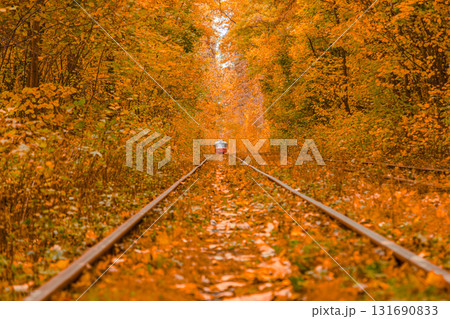 Autumn forest through which the tram travels, Kyiv and rails Autumn forest through which the tram travels, Kyiv and rails 131690833