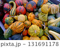 assortment of different pumpkins 131691178