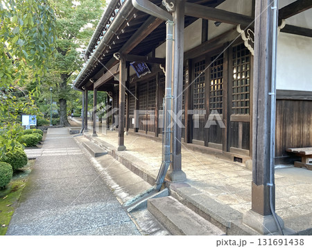 豪徳寺の仏殿と祈りの時間が流れる場所 豪徳寺の仏殿と祈りの時間が流れる場所 131691438