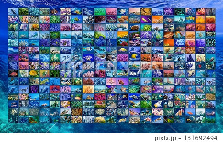 Vibrant mosaic of underwater life: Coral reefs, fish, and marine 131692494